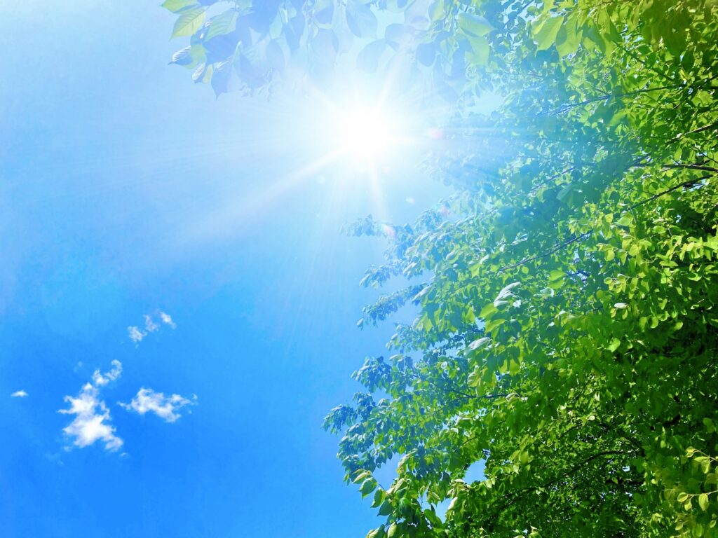 自然エネルギー